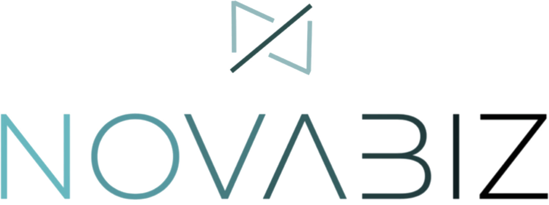 NovaBiz